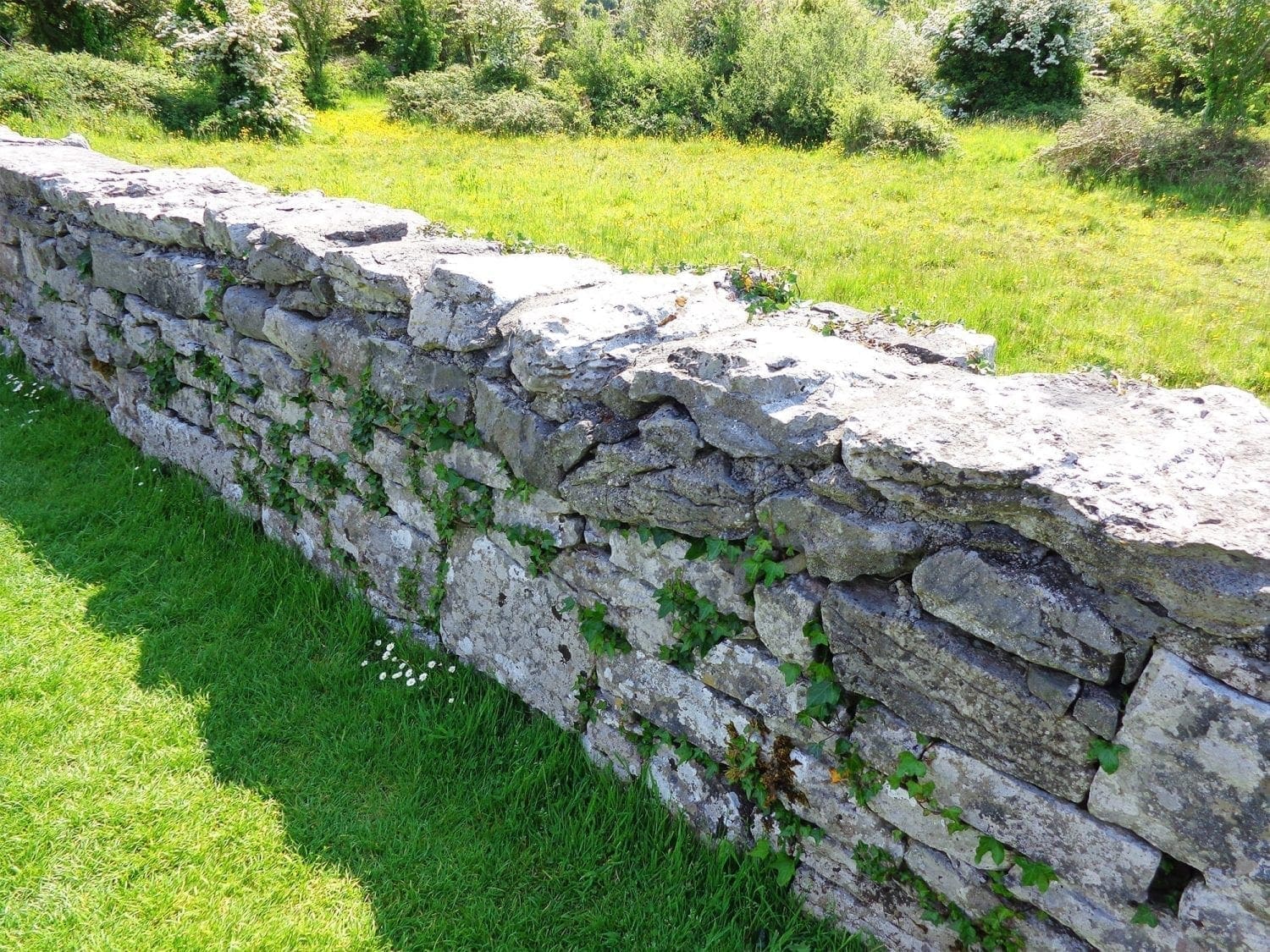 5 Day Ireland Itinerary for First-Time Visitors Without a Car 20 paddy wagon tours Benedictine Abbey