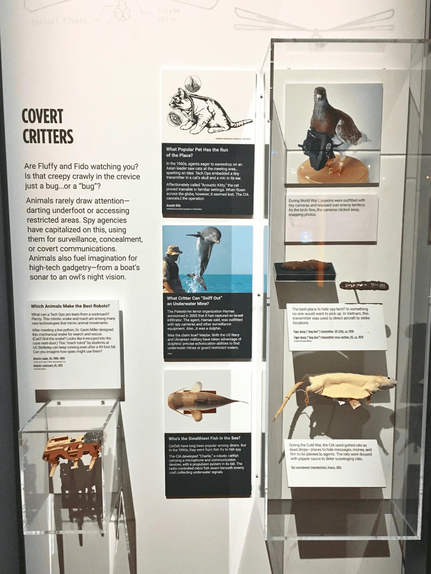 International Spy Museum: Ultimate Guide to DC's Top Secret Attraction 10 Covert Critters at the International Spy Museum in Washington DC