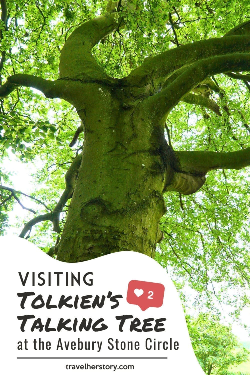 Guide to Visiting Tolkien's Talking Tree at the Avebury Stone Circle in Wiltshire, England 13 Visiting Tolkien’s Talking Tree at the Avebury Stone Circle