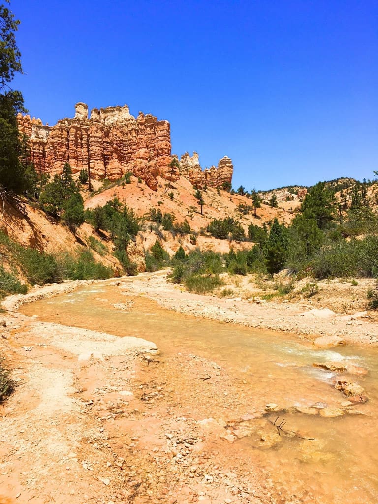 How to Plan an American Southwest National Parks Road Trip (for Non-Hikers) 12 creek bryce canyon national park utah
