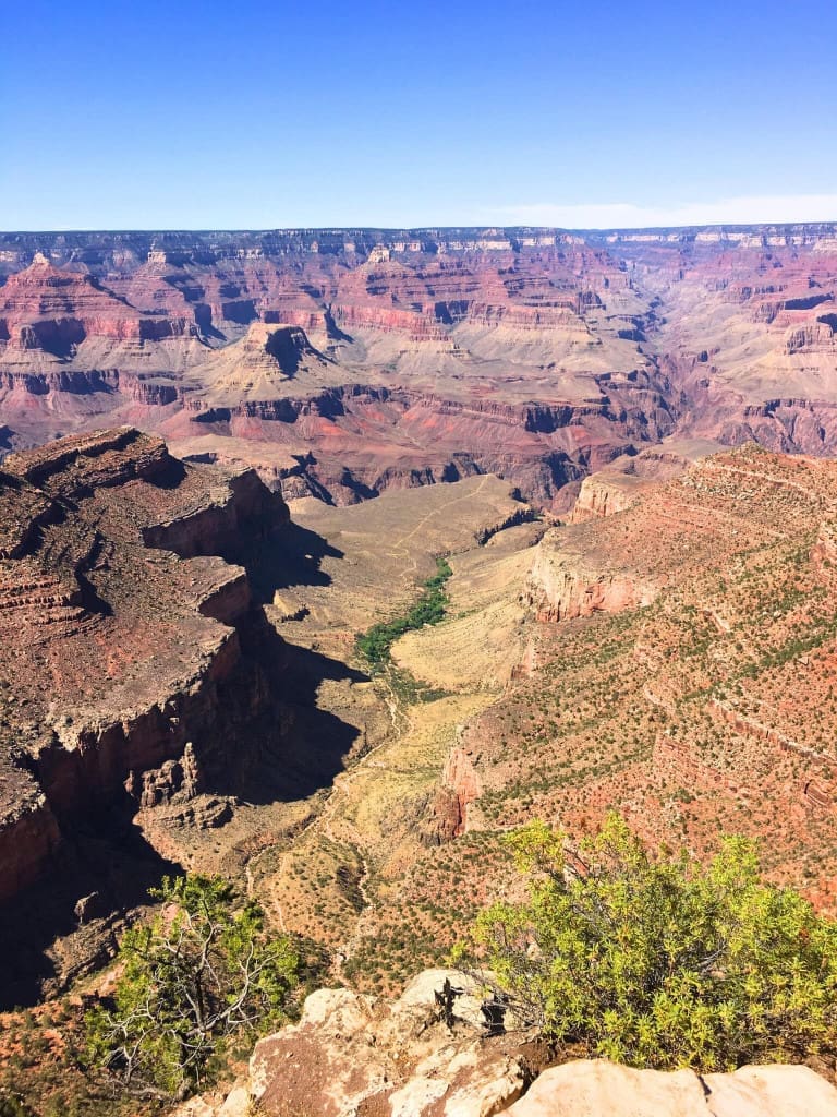 How to Plan an American Southwest National Parks Road Trip (for Non-Hikers) 23 grand canyon vegetation south rim arizona
