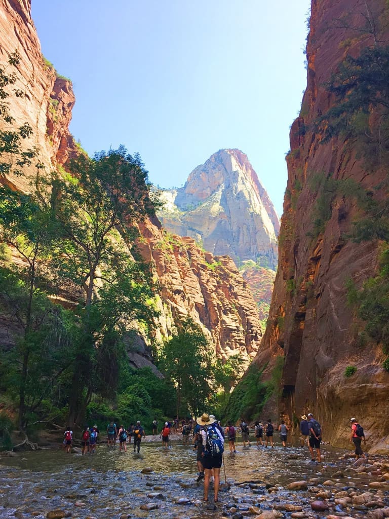 How to Plan an American Southwest National Parks Road Trip (for Non-Hikers) 6 lower emerald pool hike zion national park utah