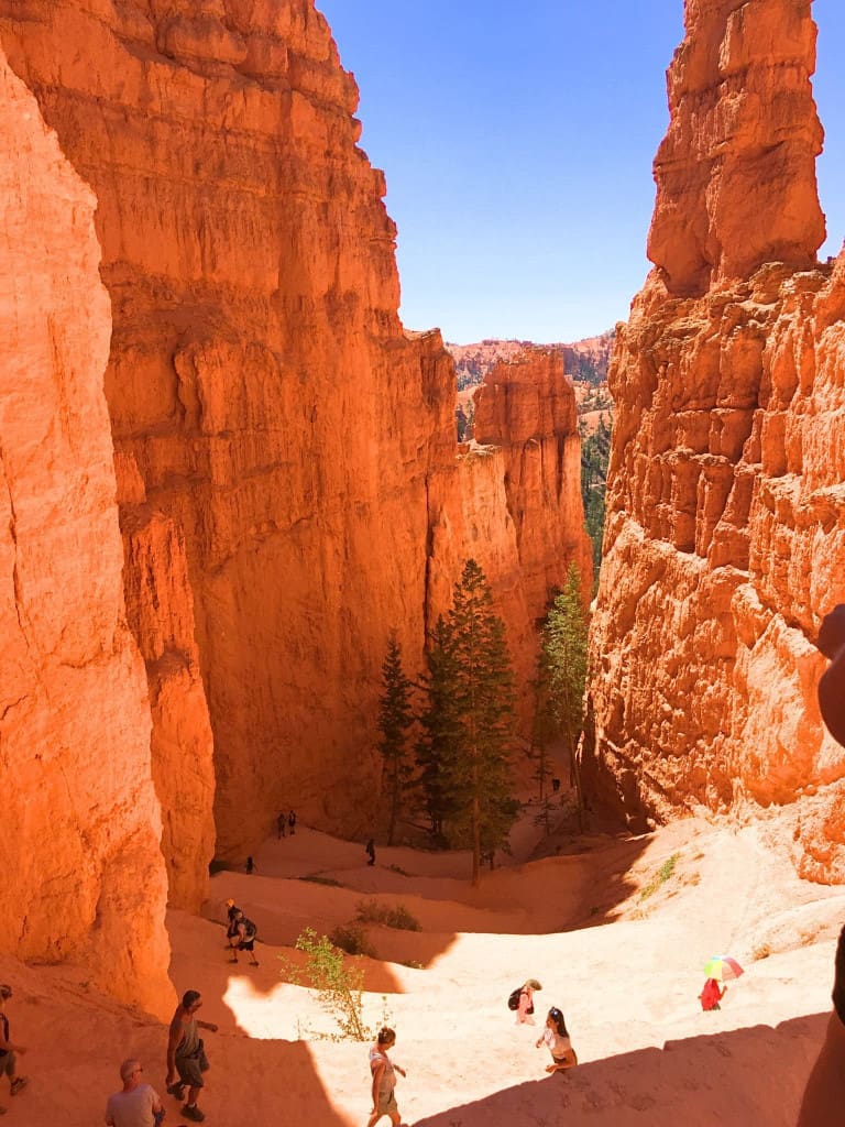 How to Plan an American Southwest National Parks Road Trip (for Non-Hikers) 9 path down bryce canyon national park utah
