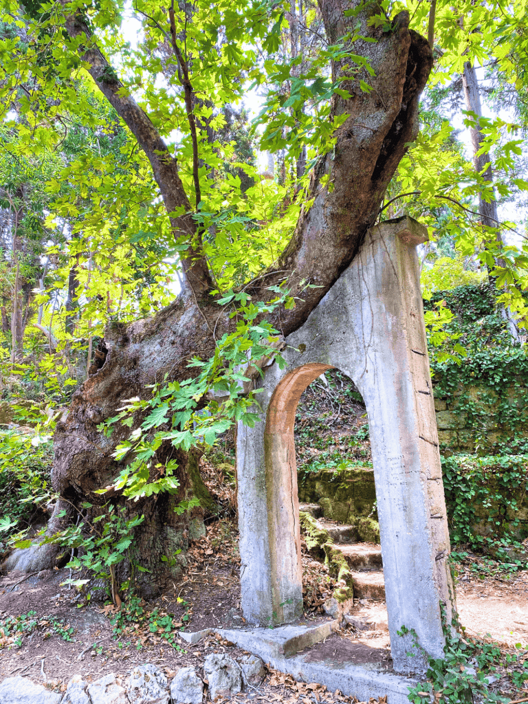 3-Day Rhodes Itinerary: How to Spend Time on Greece's Medieval Island 25 tree over stone arch rodini park rhodes