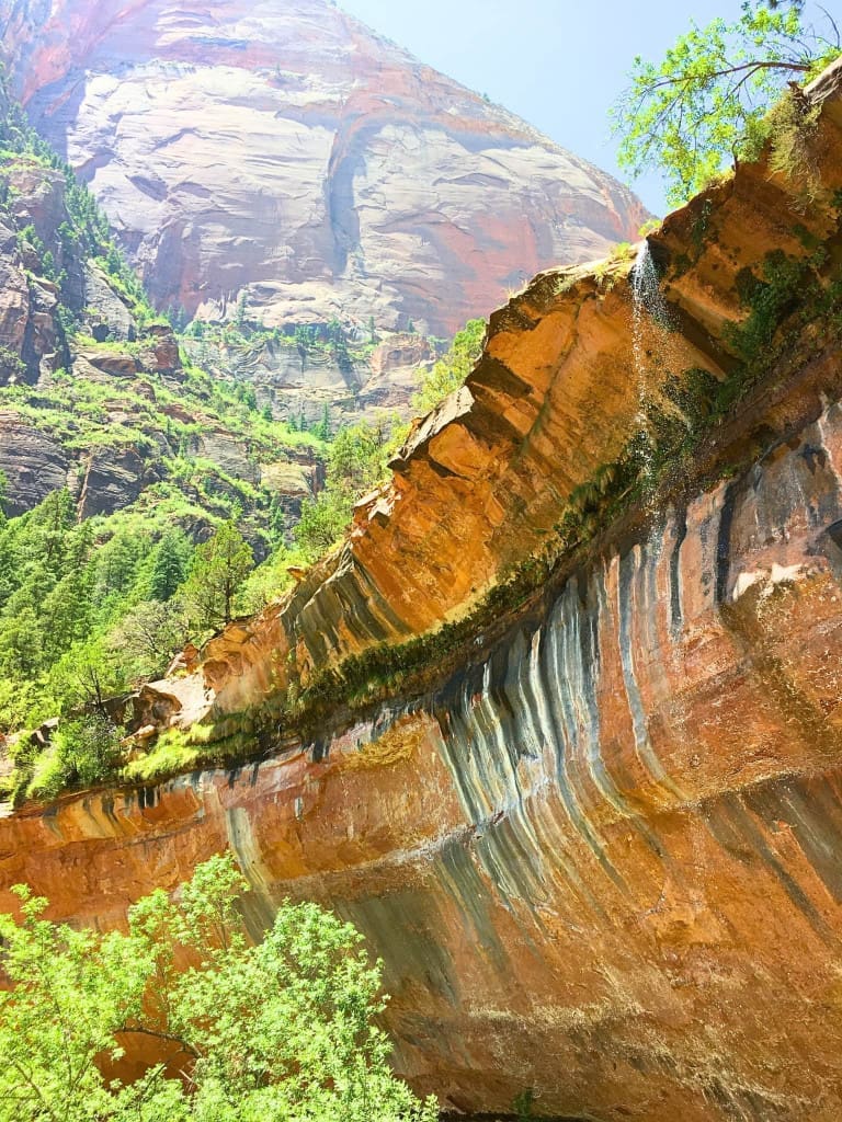 How to Plan an American Southwest National Parks Road Trip (for Non-Hikers) 7 weeping rock trail zion national park utah