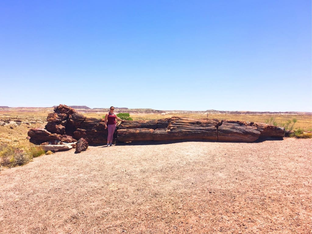 How to Plan an American Southwest National Parks Road Trip (for Non-Hikers) 19 woman tree petrified forest national park arizona