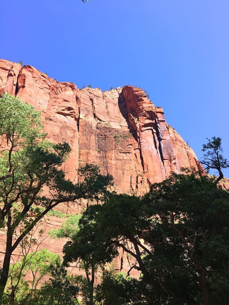 How to Plan an American Southwest National Parks Road Trip (for Non-Hikers) 4 zion national park red rock cliff utah