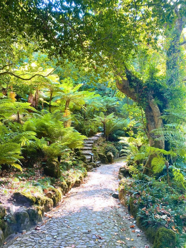 The Top Things to Do in Sintra: 5 Stunning Palaces You Need to See 28 stone path gardens monserrate palace sintra