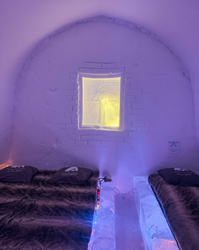 Rovaniemi in Winter: How to Build a First-Timer's Itinerary for Finnish Lapland 61 arctic snowhotels cat in window lapland finland