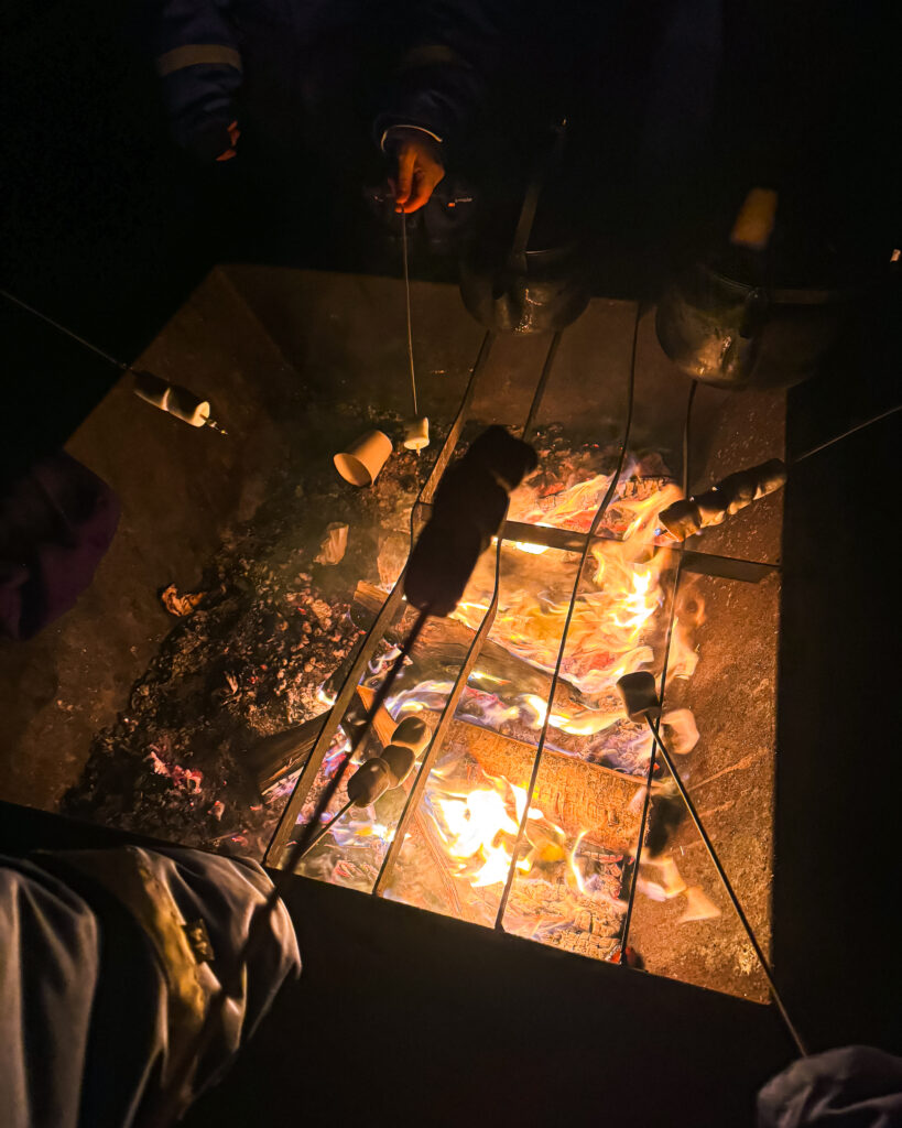 Rovaniemi in Winter: How to Build a First-Timer's Itinerary for Finnish Lapland 54 kota marshmallow roasting rovaniemi