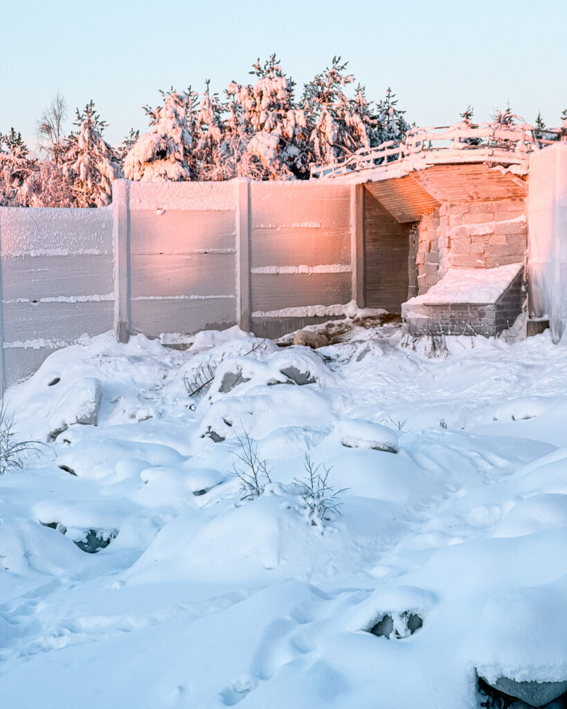 Rovaniemi in Winter: How to Build a First-Timer's Itinerary for Finnish Lapland 84 polar bear at ranuas arctic wildlife park in finland