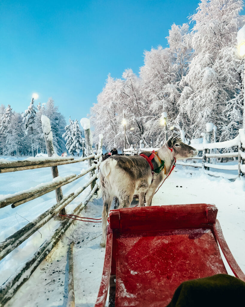 Rovaniemi in Winter: How to Build a First-Timer's Itinerary for Finnish Lapland 3 reindeer sleigh ride lapland