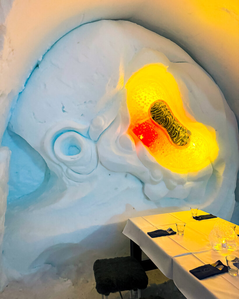 Rovaniemi in Winter: How to Build a First-Timer's Itinerary for Finnish Lapland 110 snow restaurant mitochondria sculptures