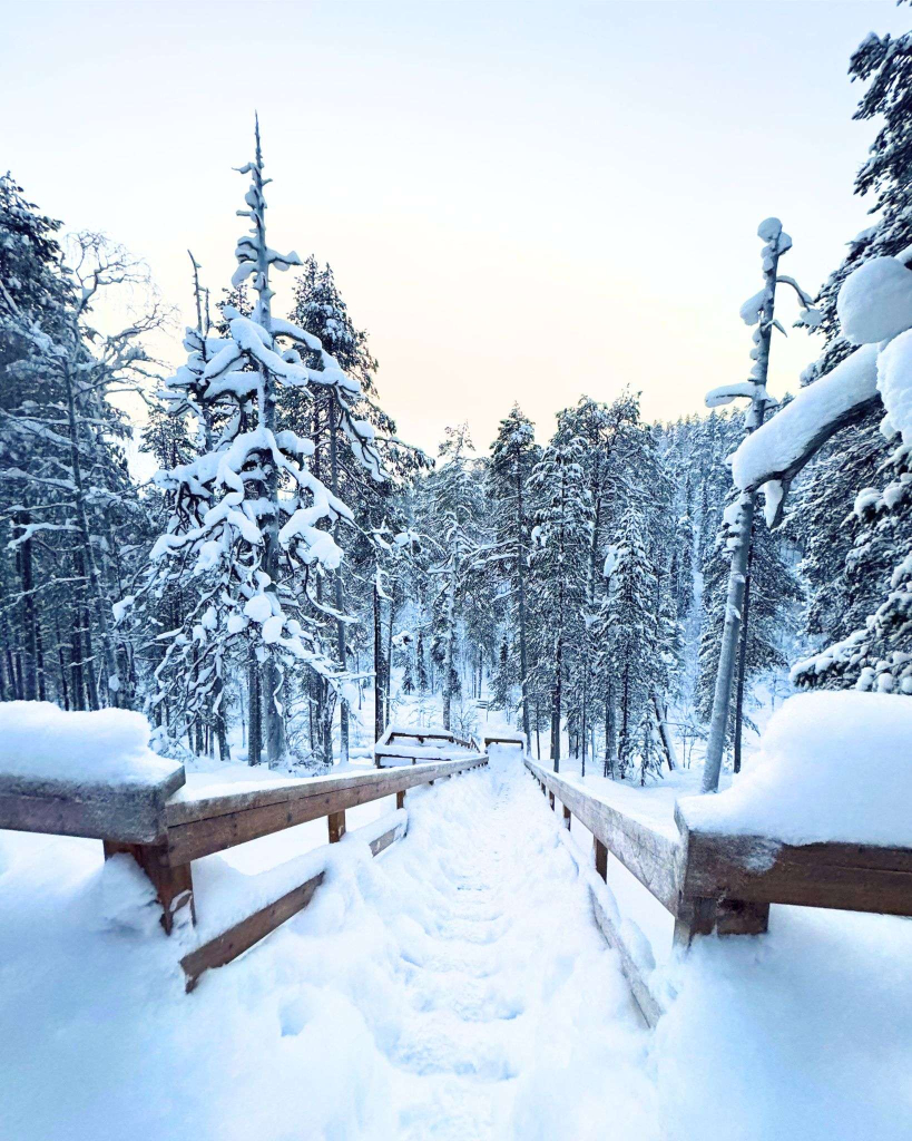 Rovaniemi in Winter: How to Build a First-Timer's Itinerary for Finnish Lapland 91 tunturiaapa nature trail stairway snow pyha